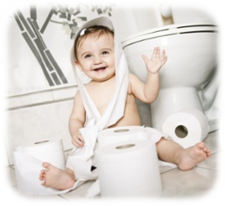 Best Toilet Paper For Septic Tank Best Toilet Paper For RV