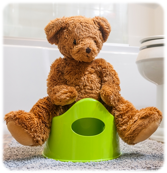 Best Potty Training Chair Best Potty For Boys And Girls